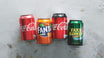 Coca Cola (0,33 l)